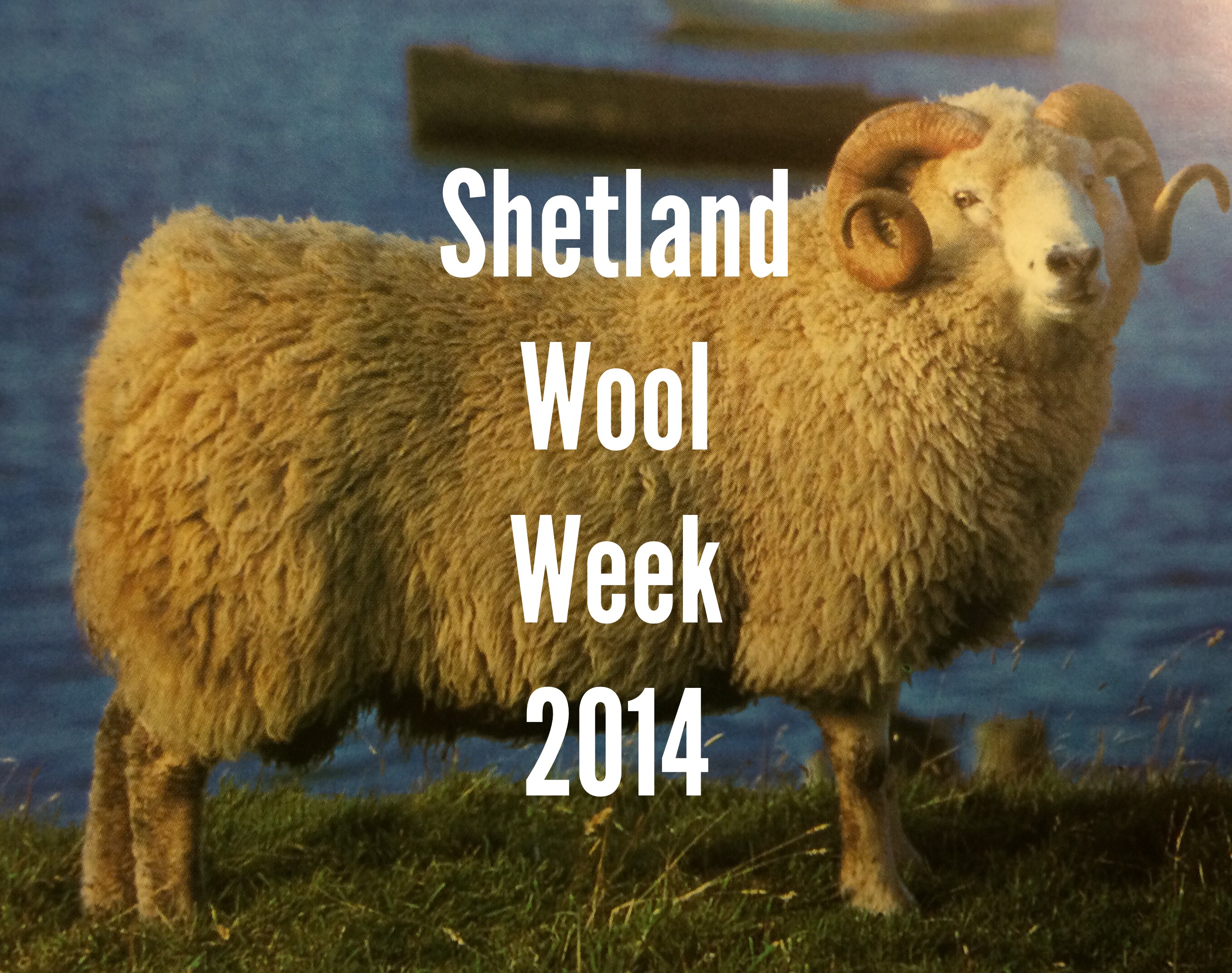 Celebrating Wool Shetland Wool Week 2014 The 1764 Shepherdess