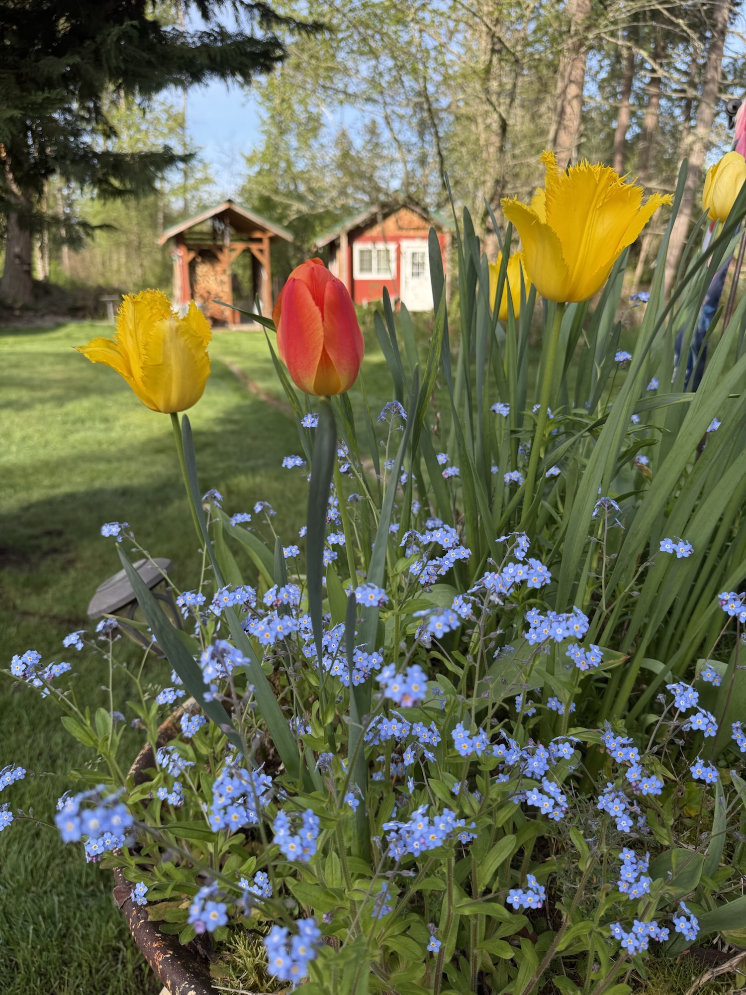 The Maker’s Stash Society: Spring Sun, Wool Stash, and Slow Progress